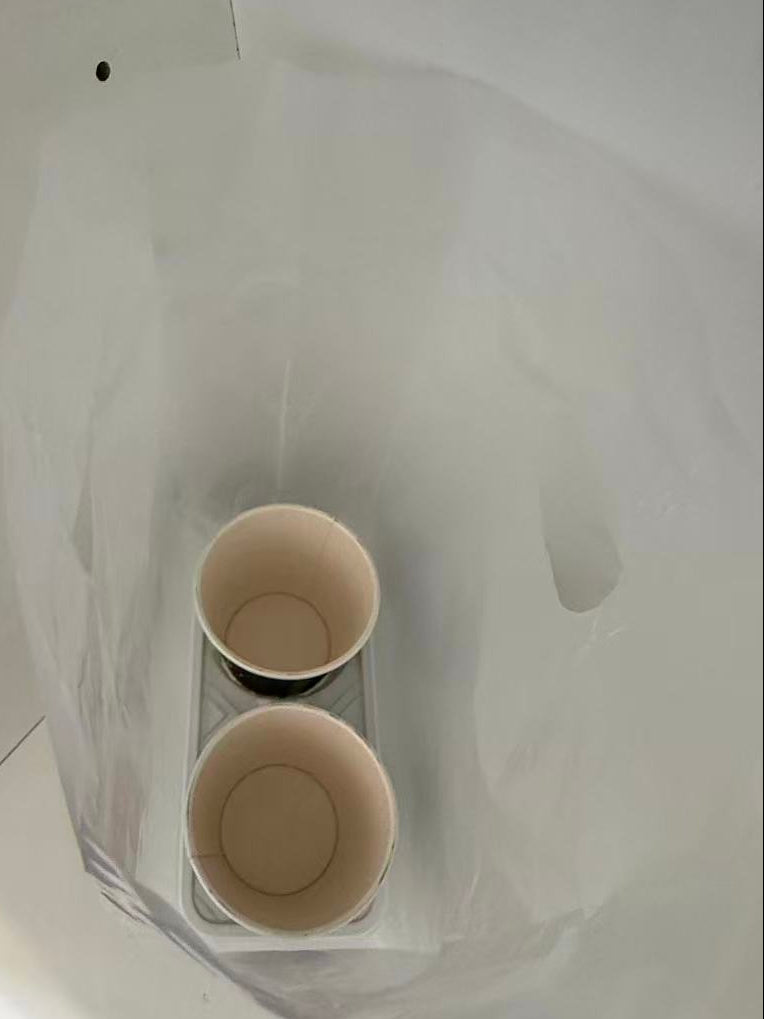 2 cup holder carrier disposable in plastic bag 