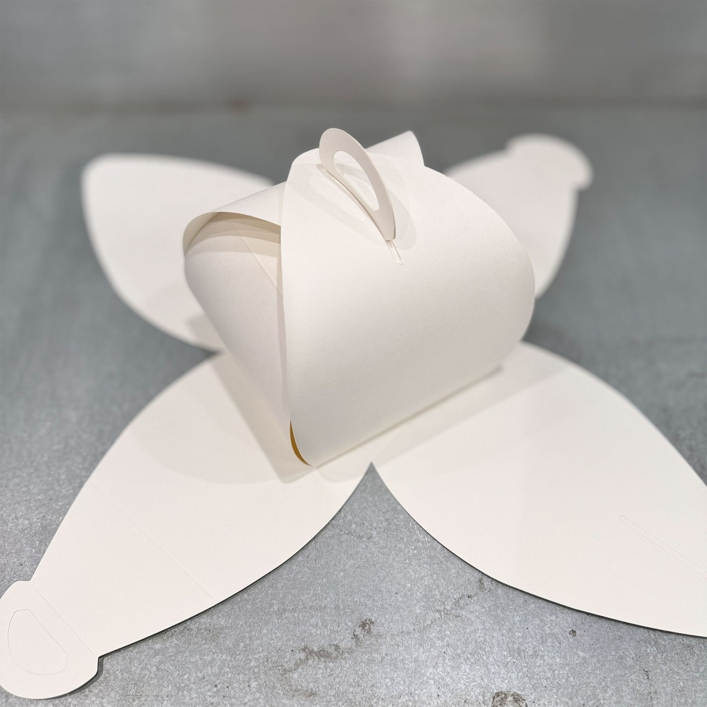 Cupcake boxes with handle flat and assembled - Marah Design 