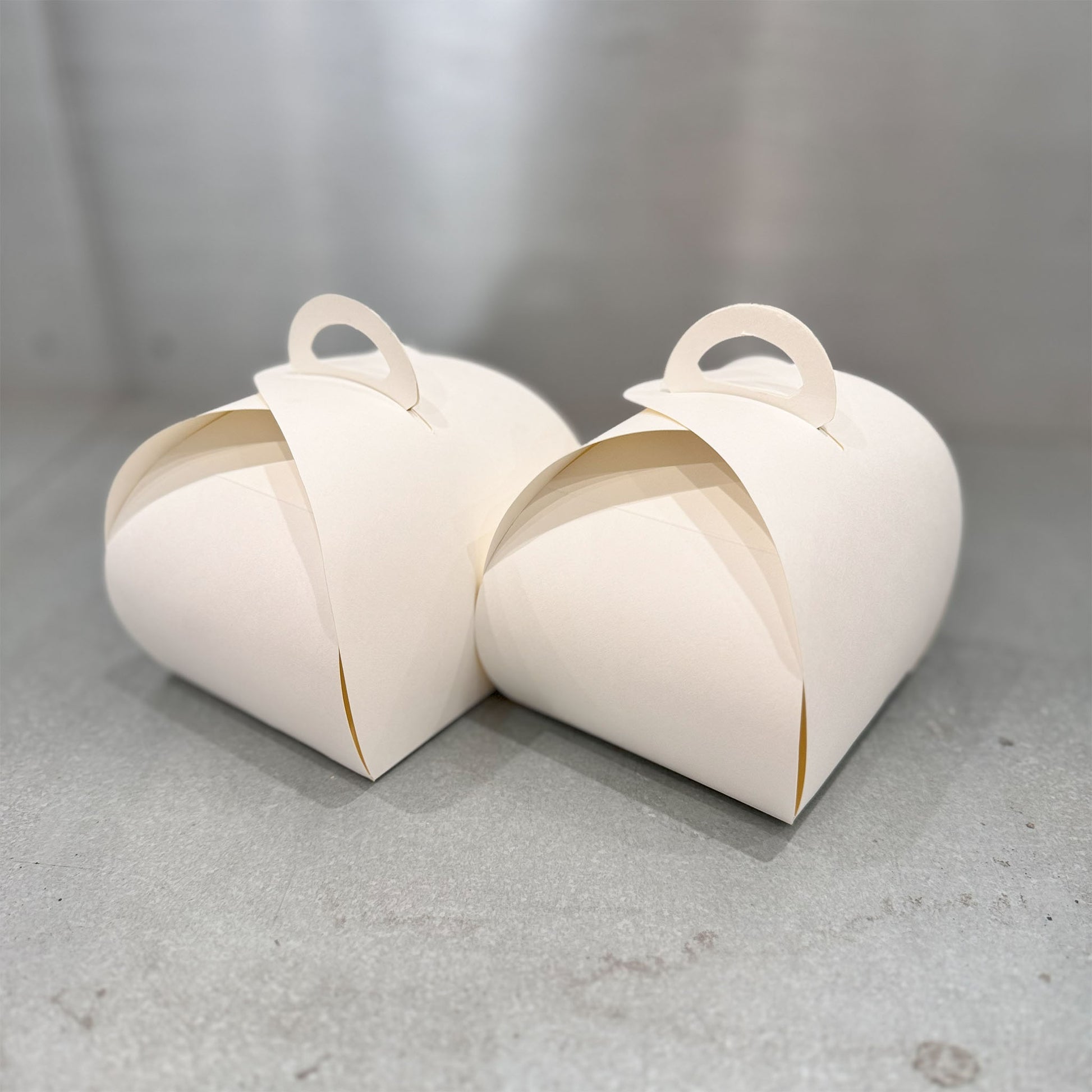 Cupcake boxes with handle pair - Marah Design 