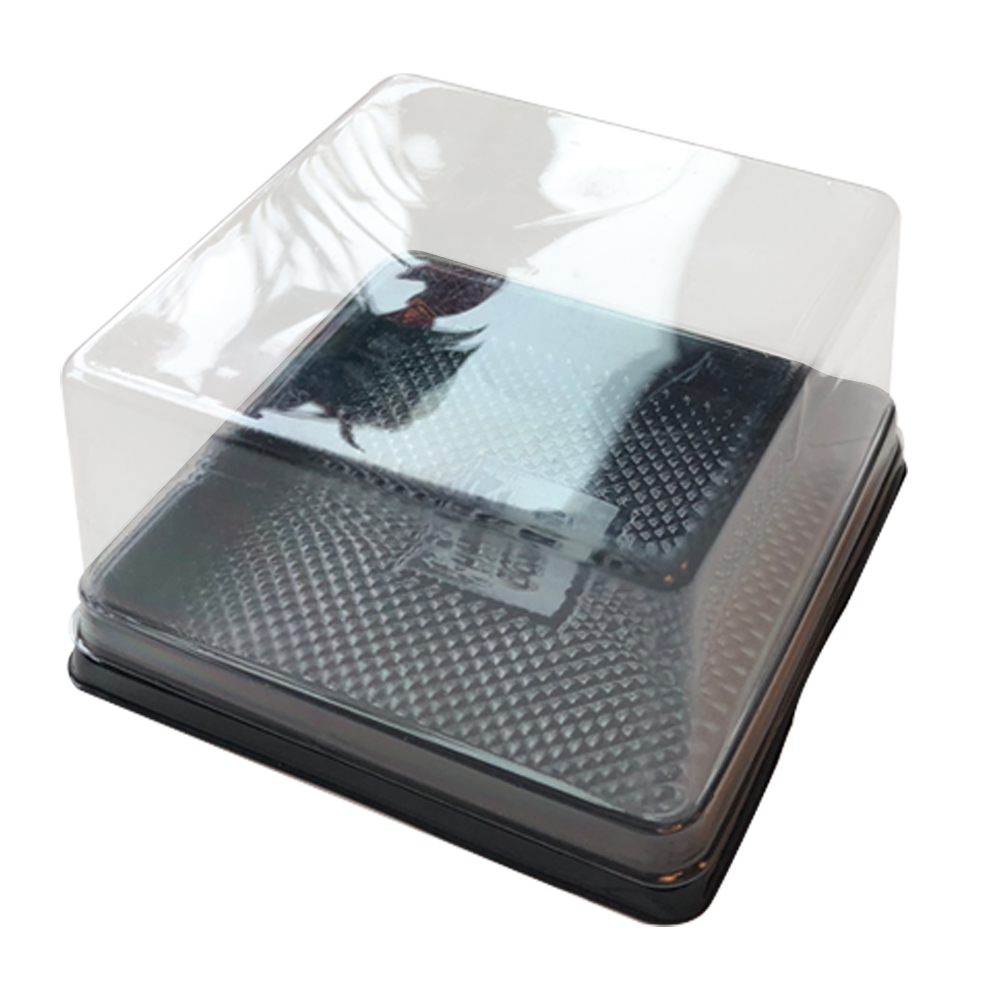 Marah Design Round Plastic Containers with Black Tray with the lid on- Small Baked Goods 