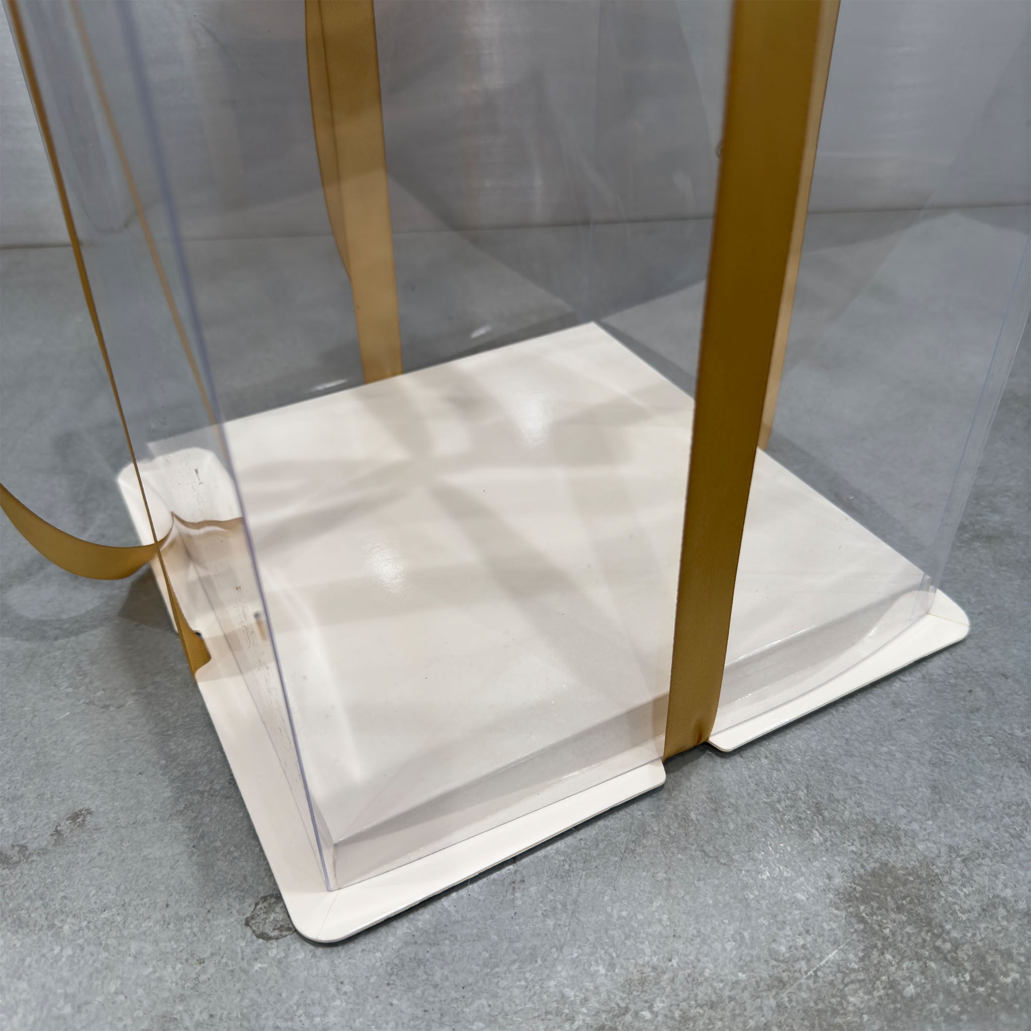 Tall Cake Box Transparent with Ribbon - Tray Closeup -Marah Design